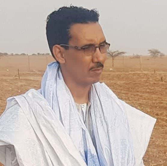 صورة المقال