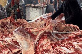 الصورة الرئيسية للمقال