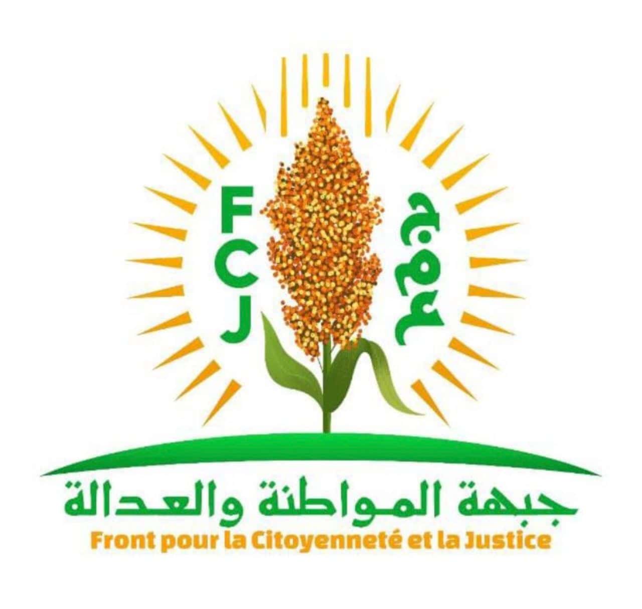 صورة المقال