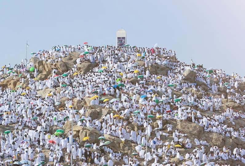 صورة المقال
