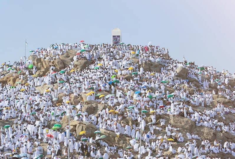 الصورة الرئيسية للمقال