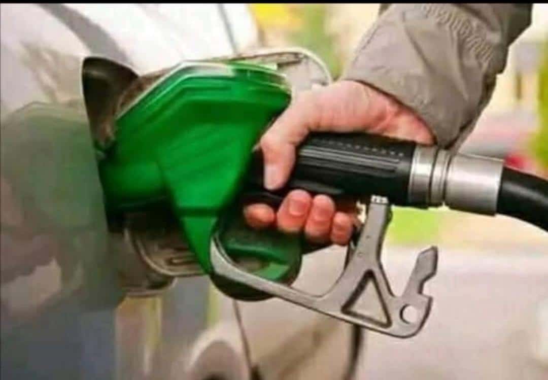 صورة المقال
