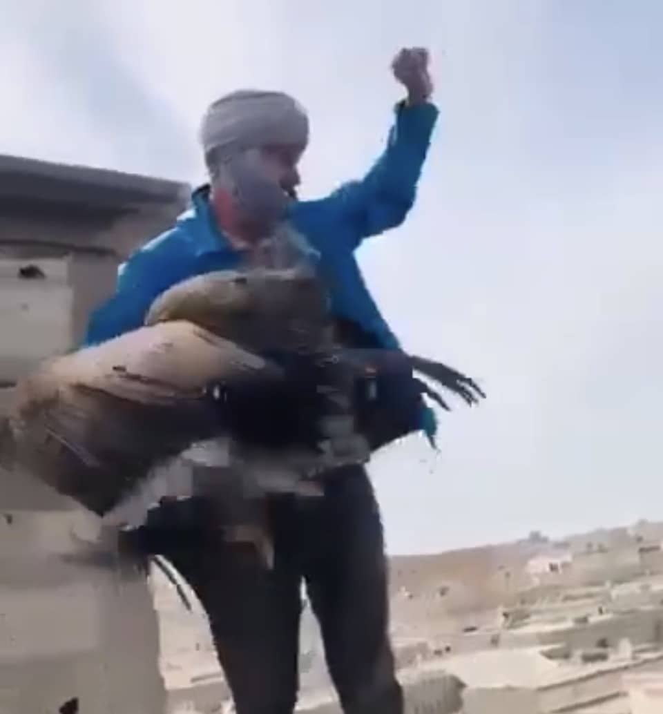 الصورة الرئيسية للمقال