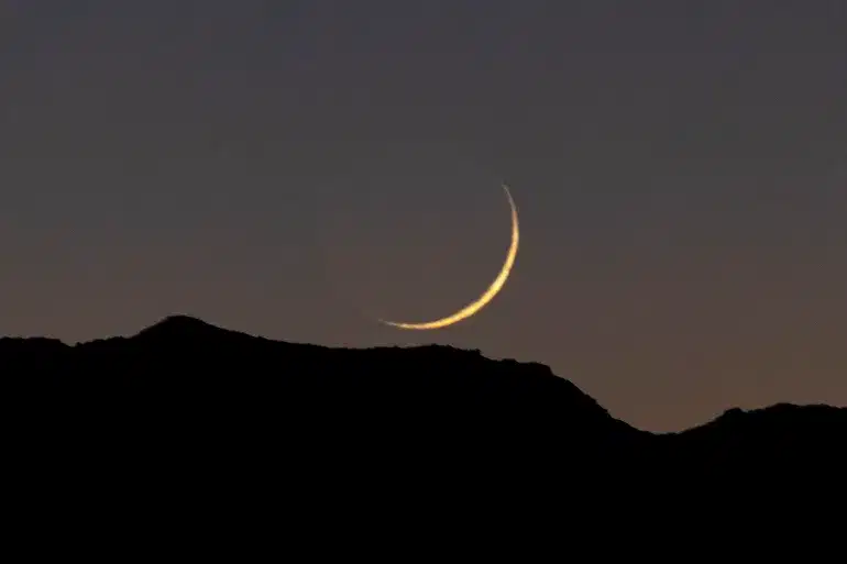 صورة المقال