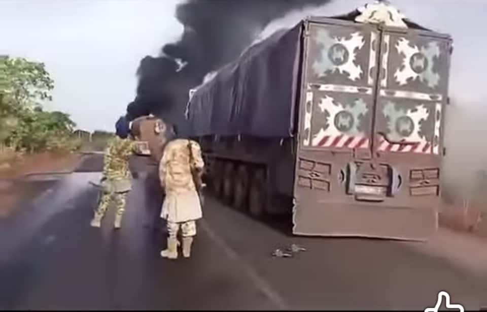 صورة المقال