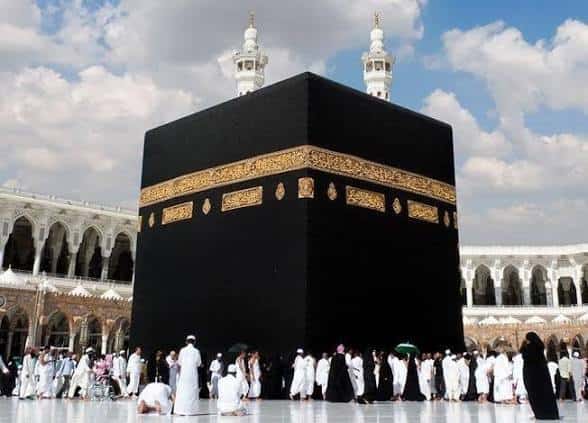 صورة المقال