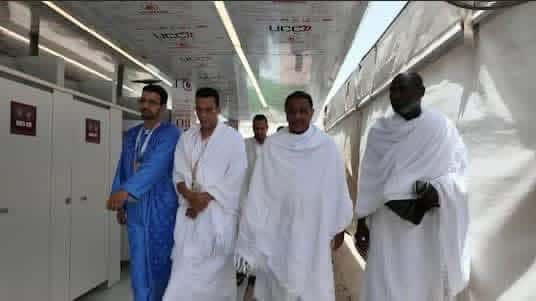 صورة المقال