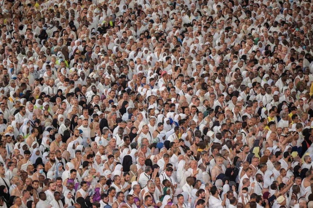صورة المقال