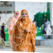 صورة المقال