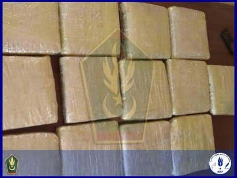 صورة المقال