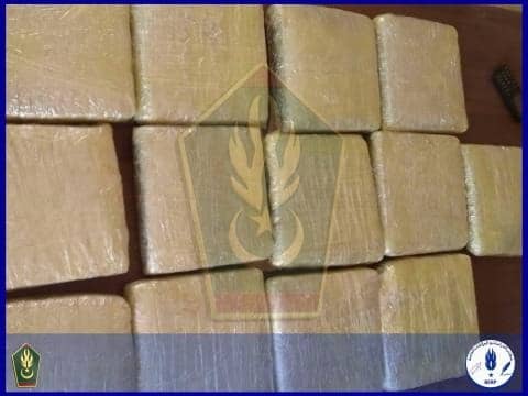الصورة الرئيسية للمقال