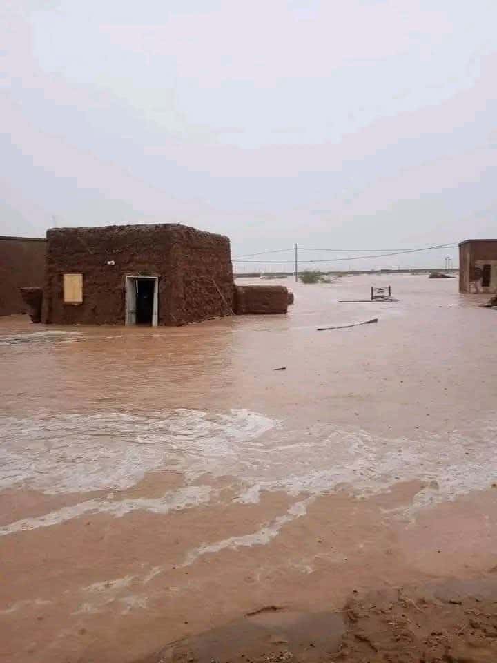 صورة المقال