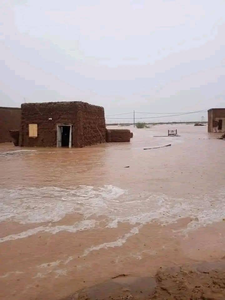 الصورة الرئيسية للمقال