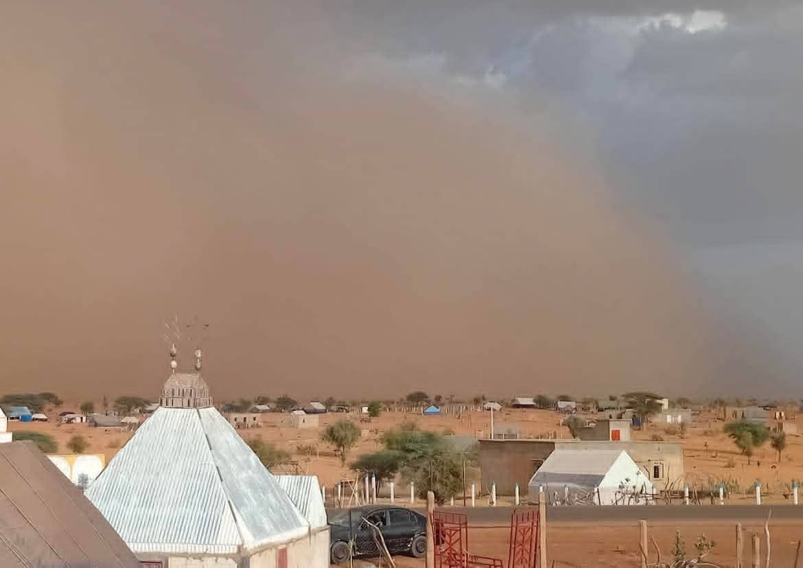 الصورة الرئيسية للمقال