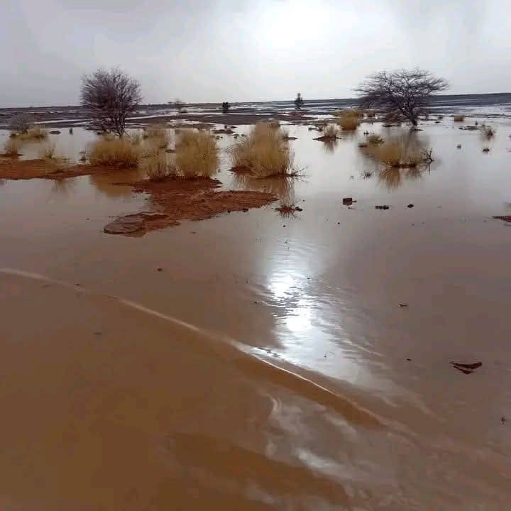 أمطار بكميات متفاوتة على مناطق من ثلاث ولايات