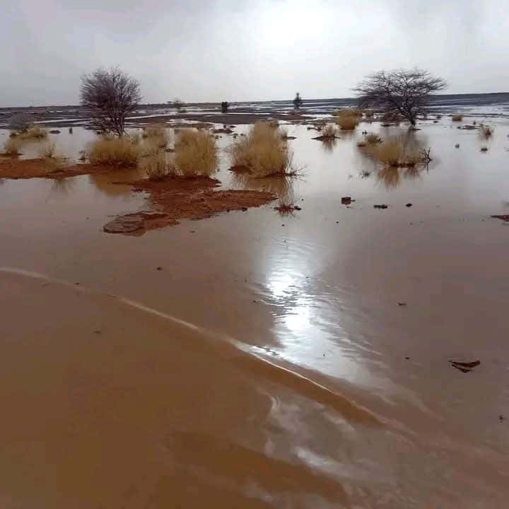 صورة المقال