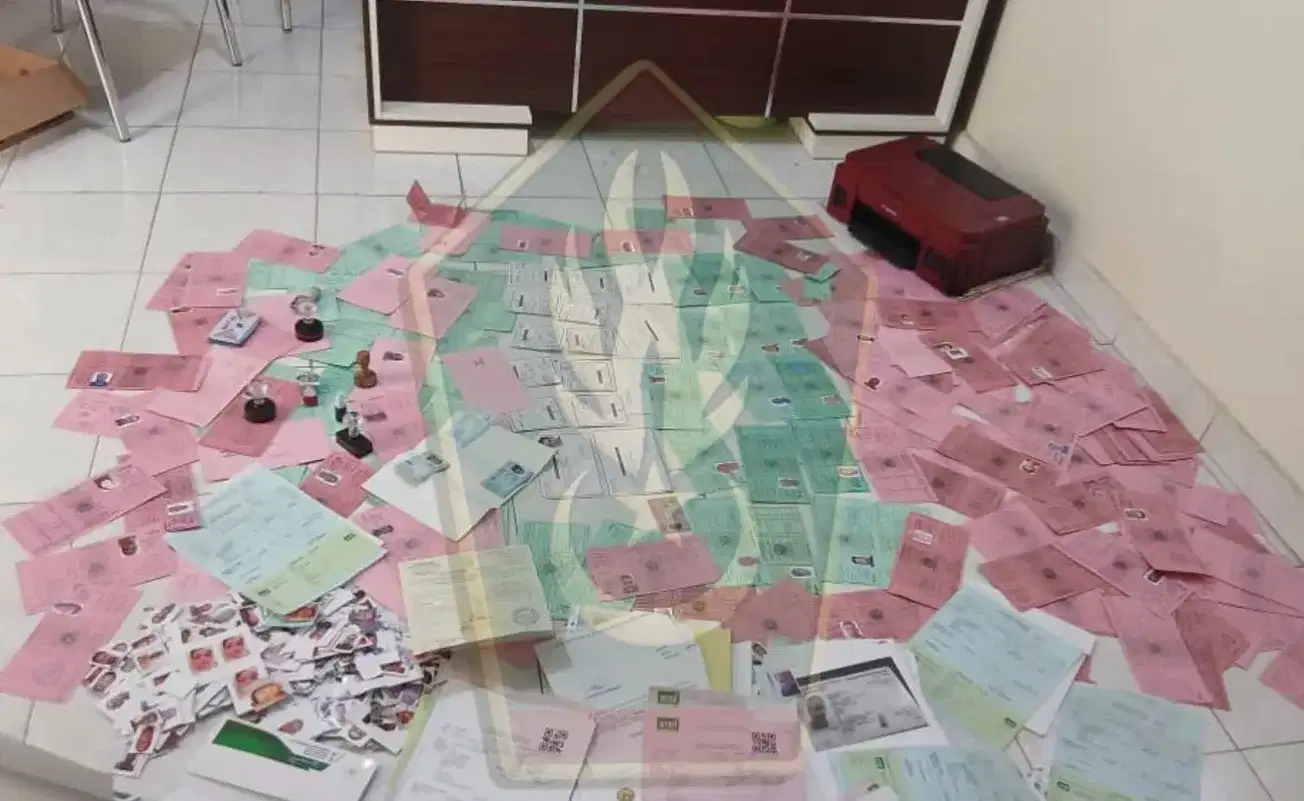 صورة المقال