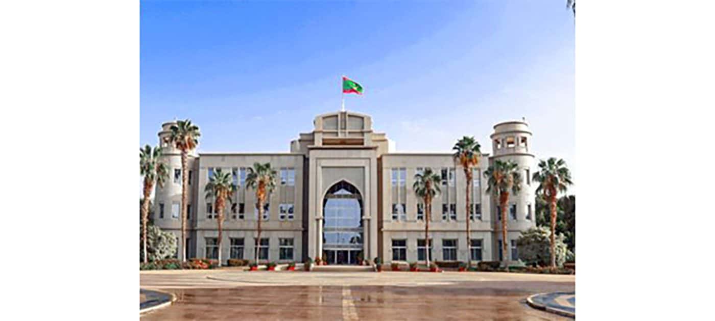 صورة المقال