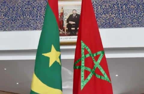 صورة المقال