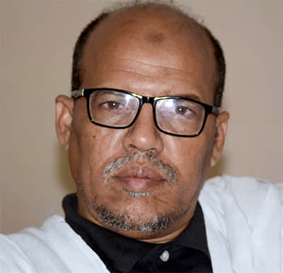 صورة المقال