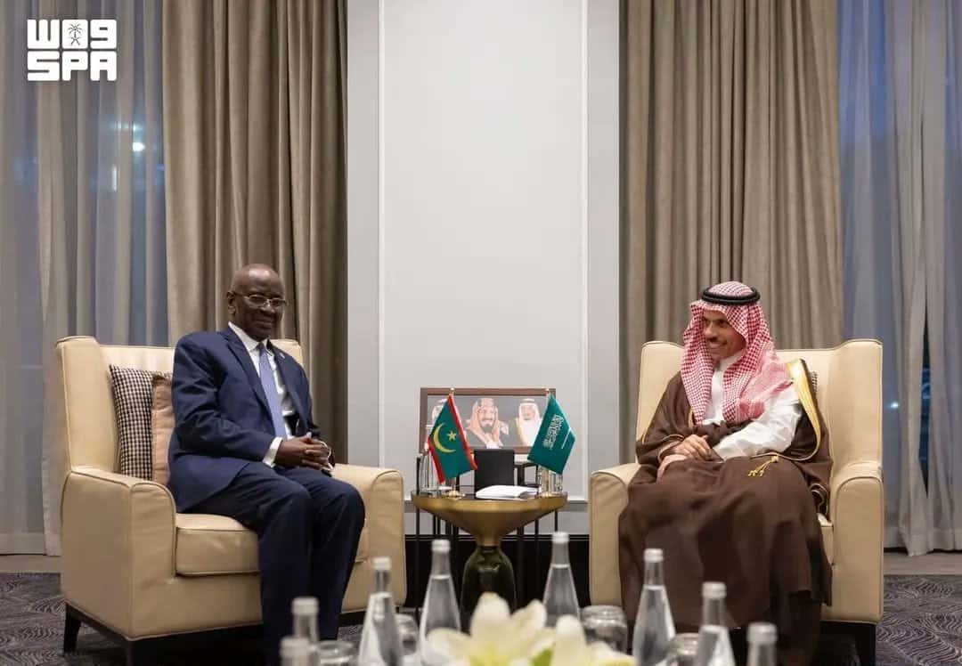 صورة المقال