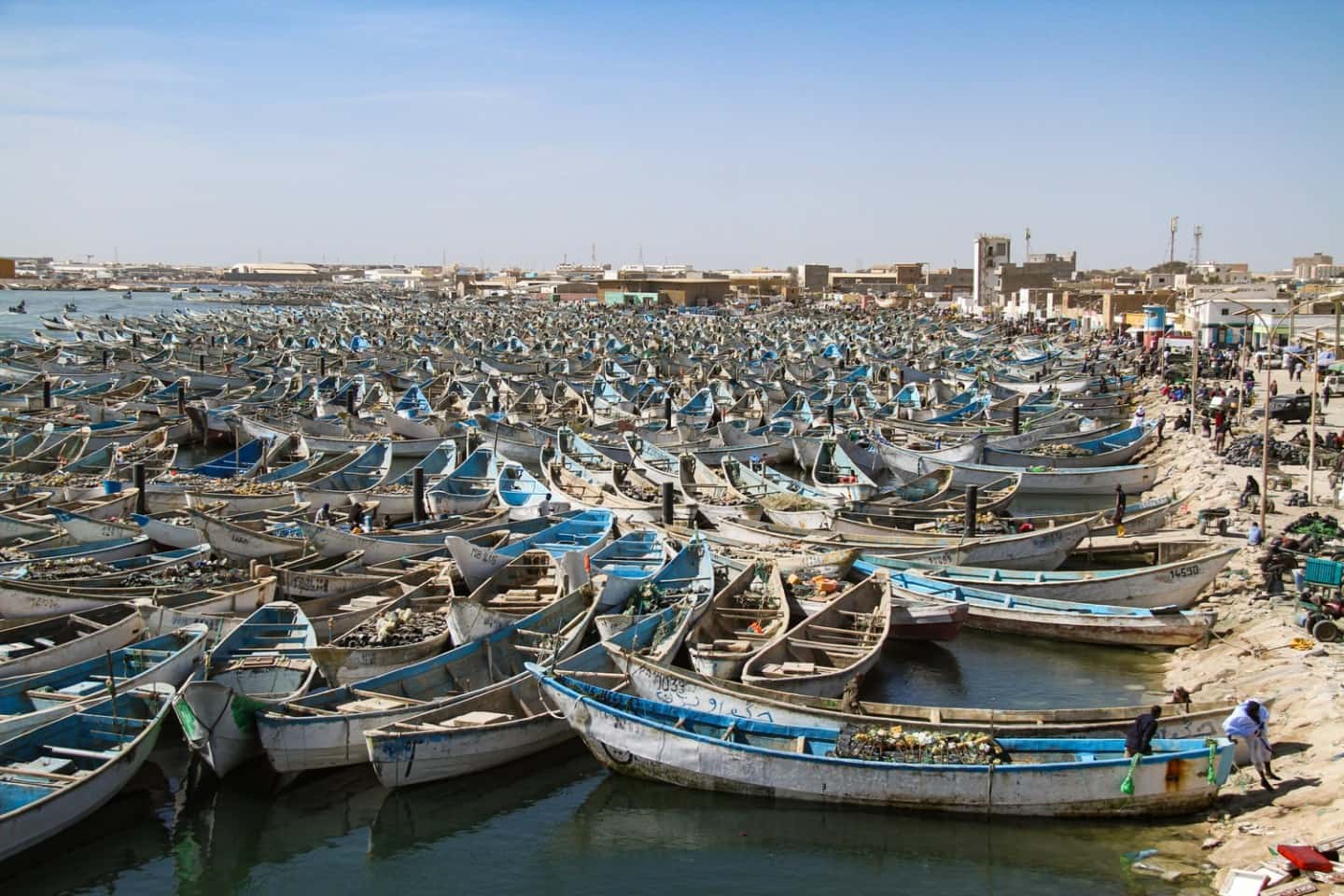 صورة المقال