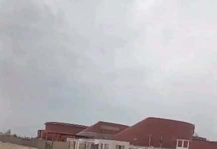 صورة المقال