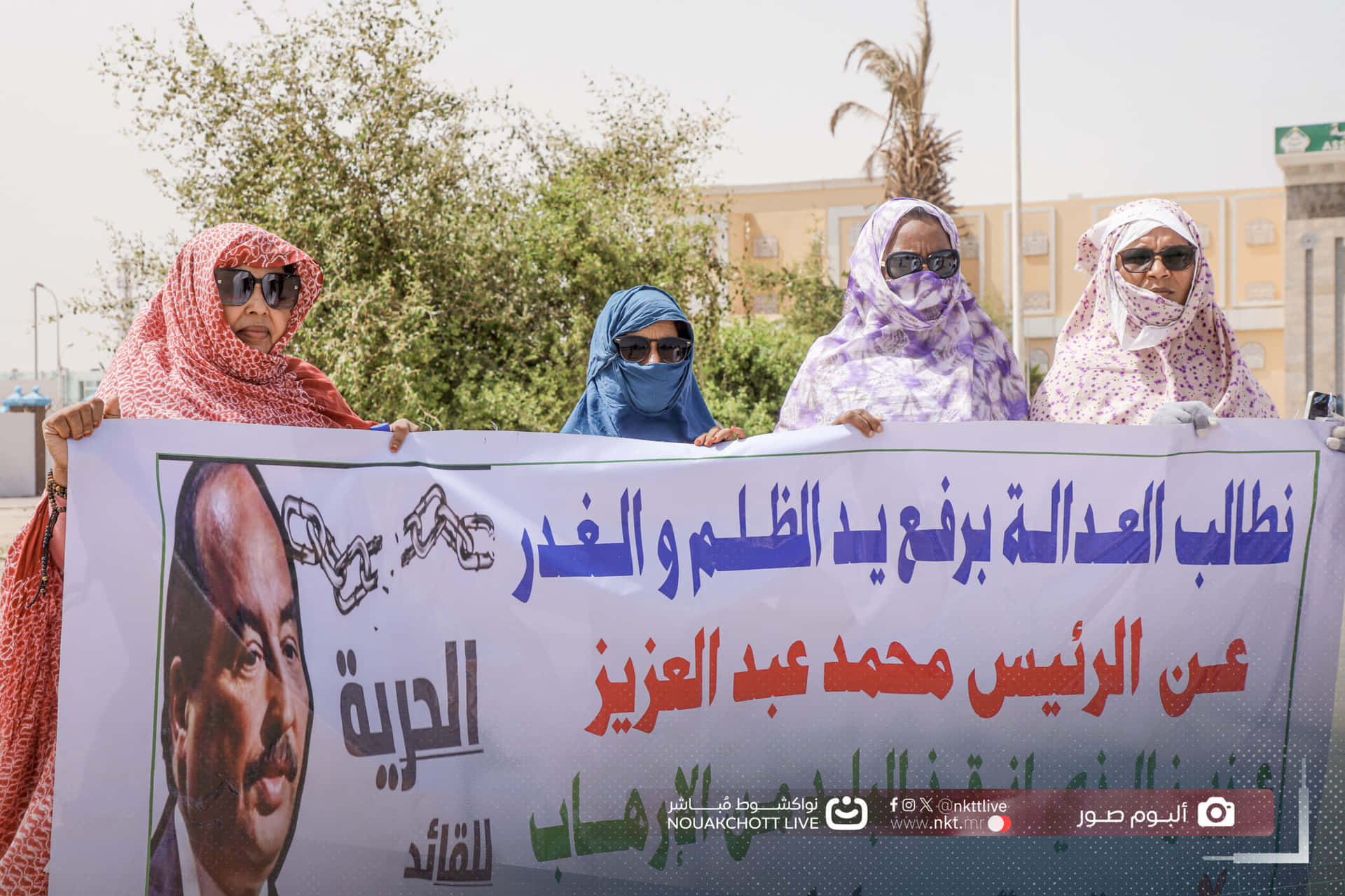 صورة المقال