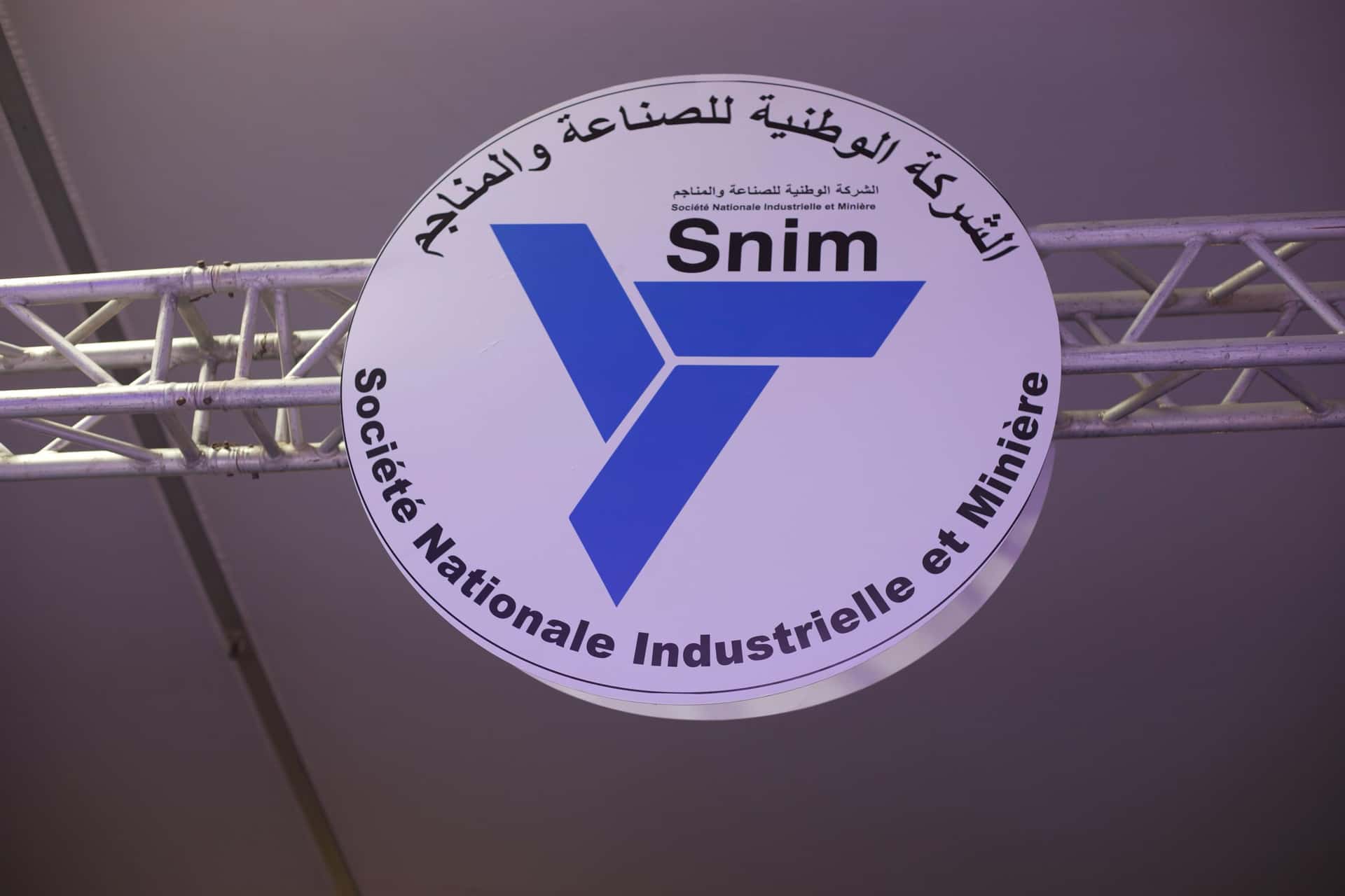 صورة المقال