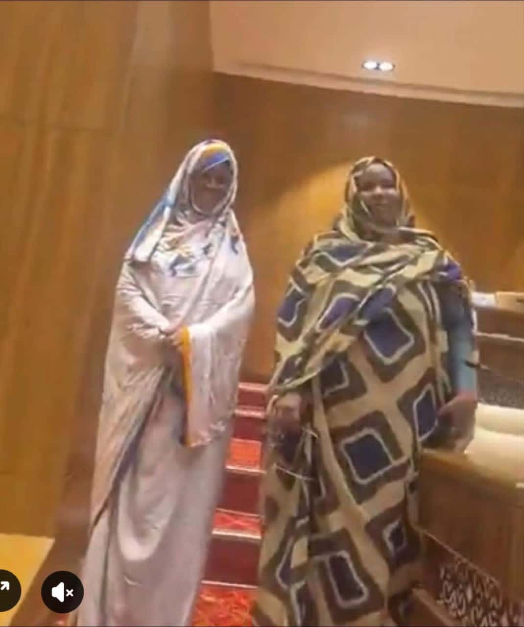 صورة المقال