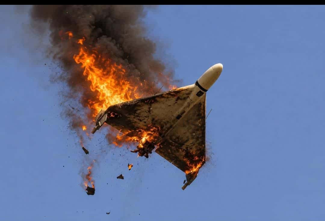 صورة المقال