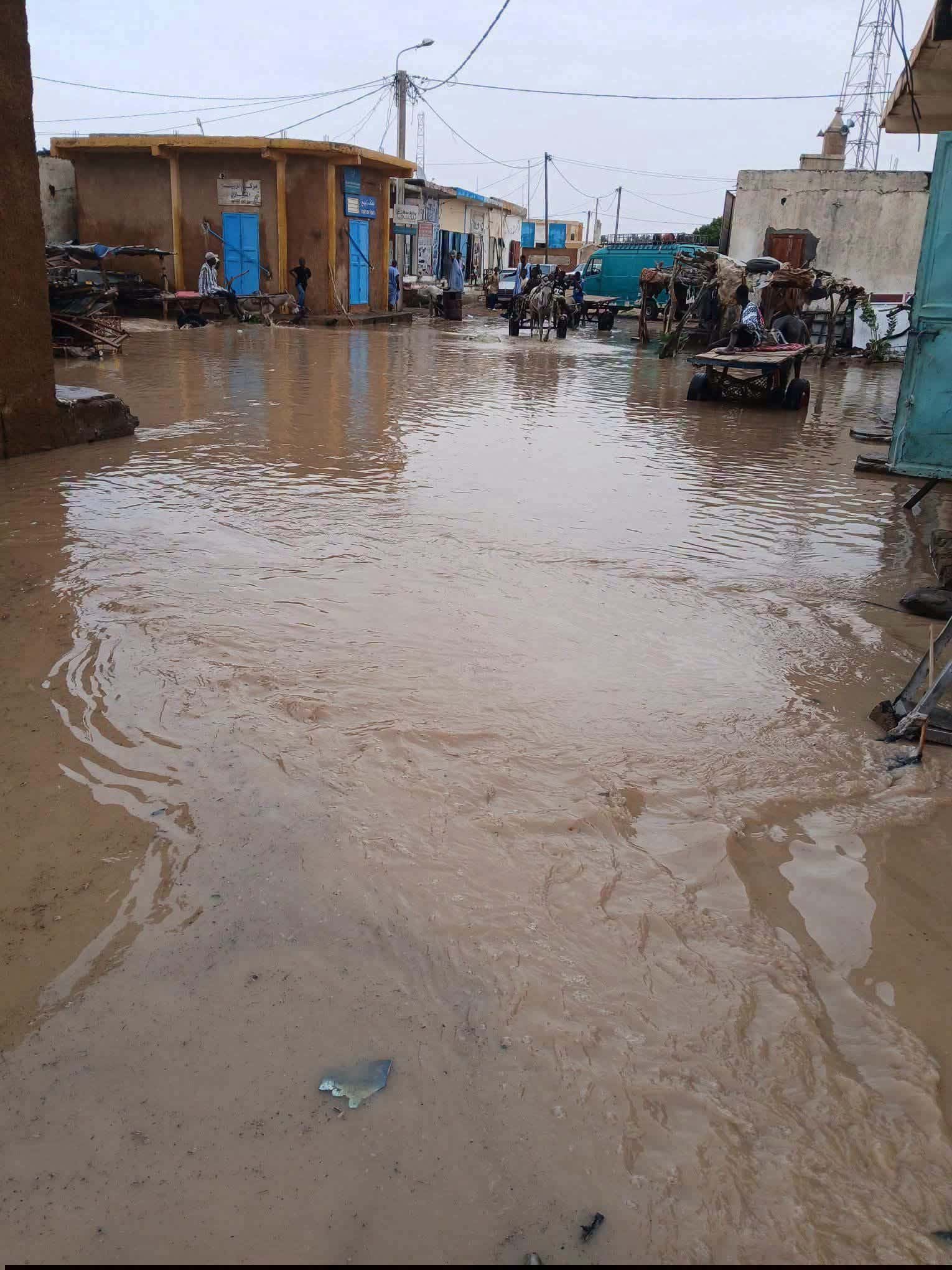 صورة المقال
