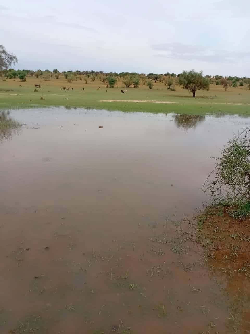 صورة المقال