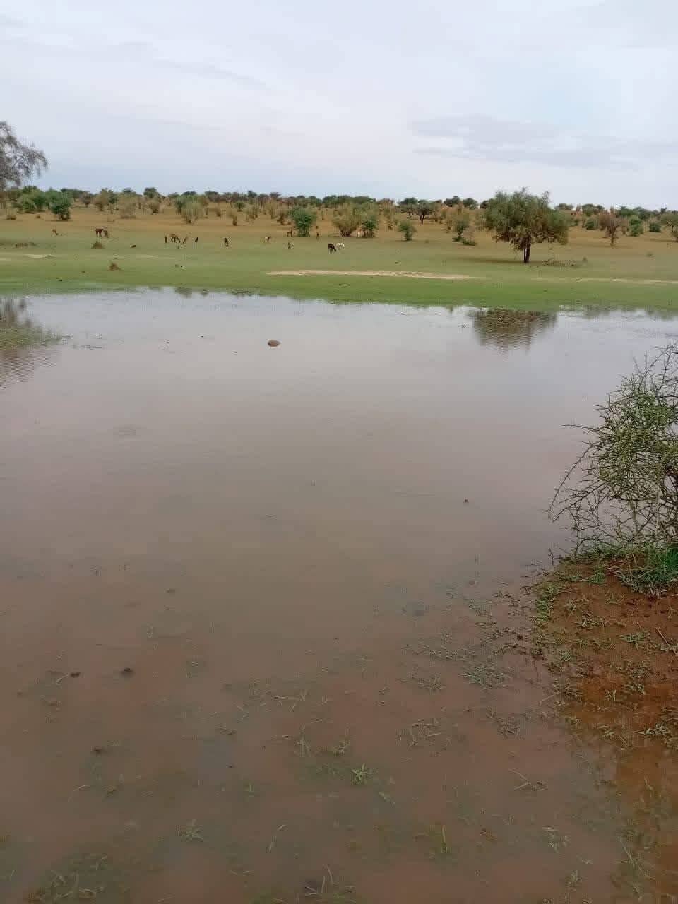 الصورة الرئيسية للمقال