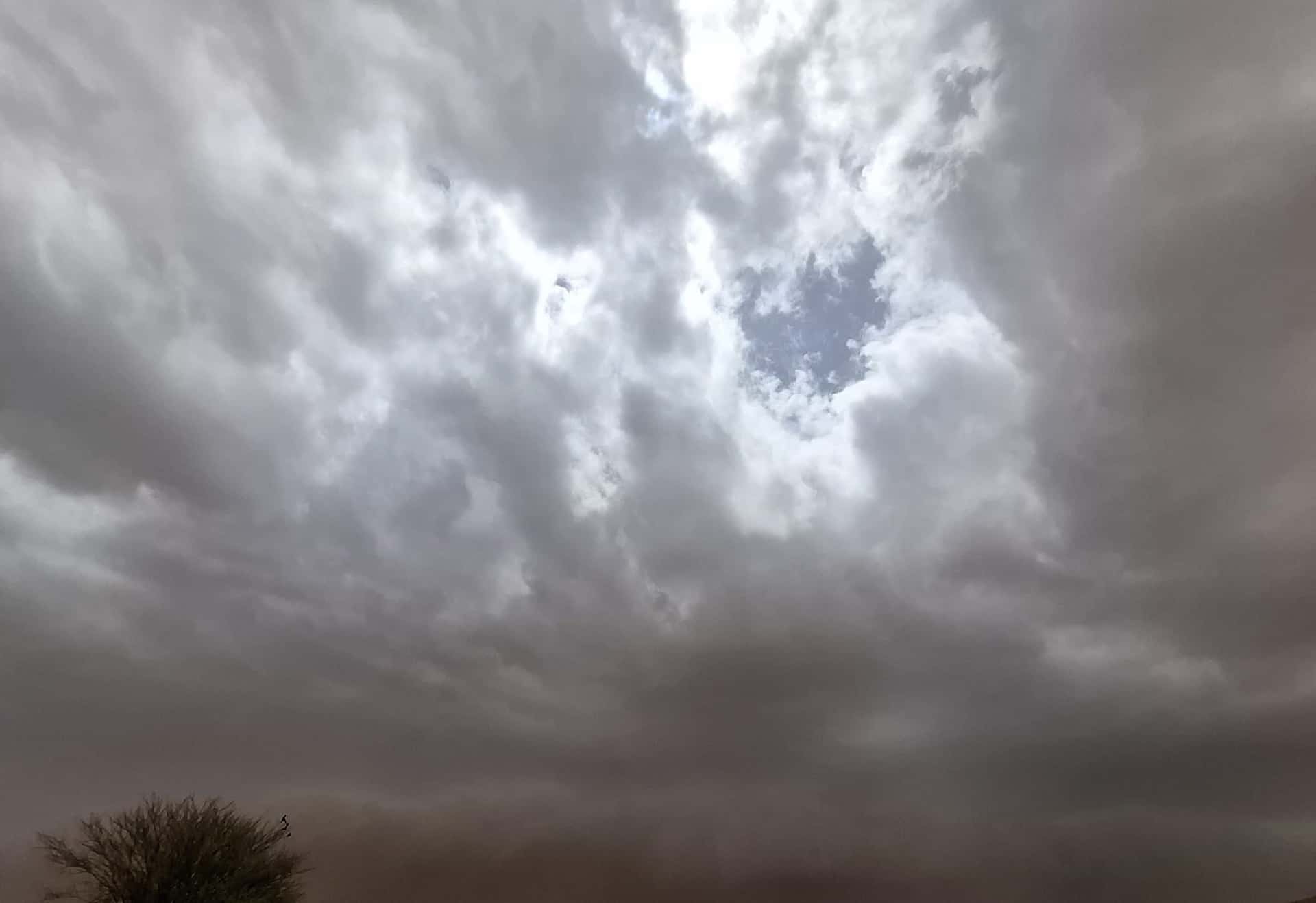 صورة المقال
