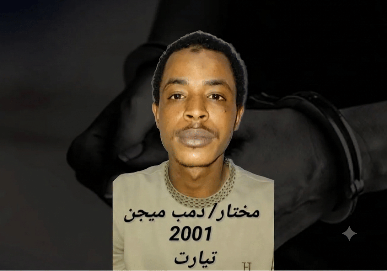 صورة المقال