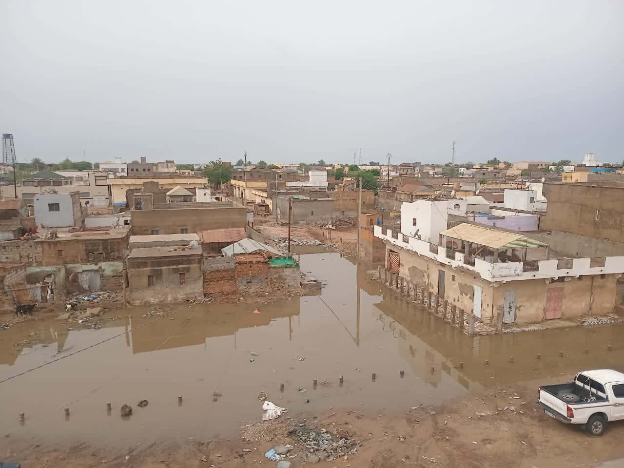 صورة المقال