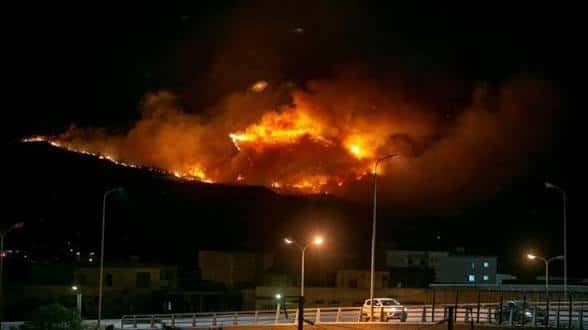 صورة المقال