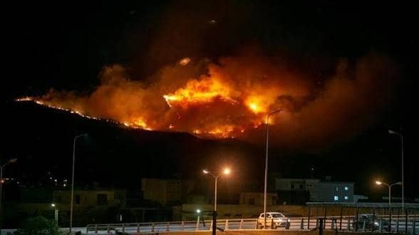 6 وفيات و195 بؤرة اشتعال إثر حريق غابات الجزائر والسلطات تتعهد بتعويض المتضررين