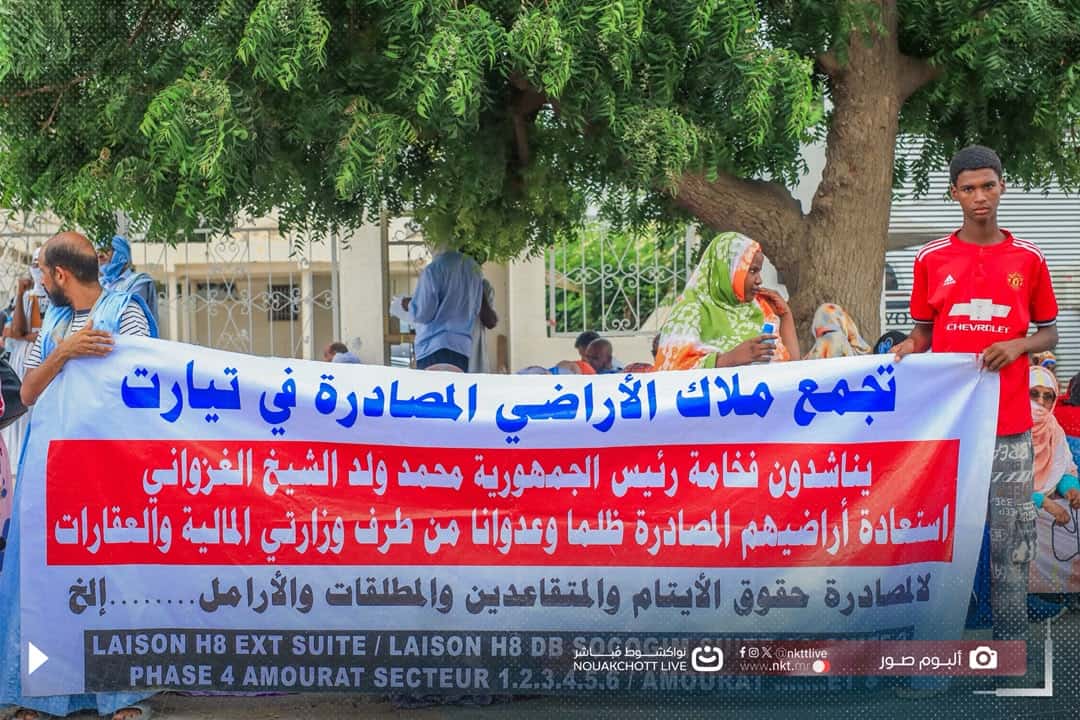 صورة المقال