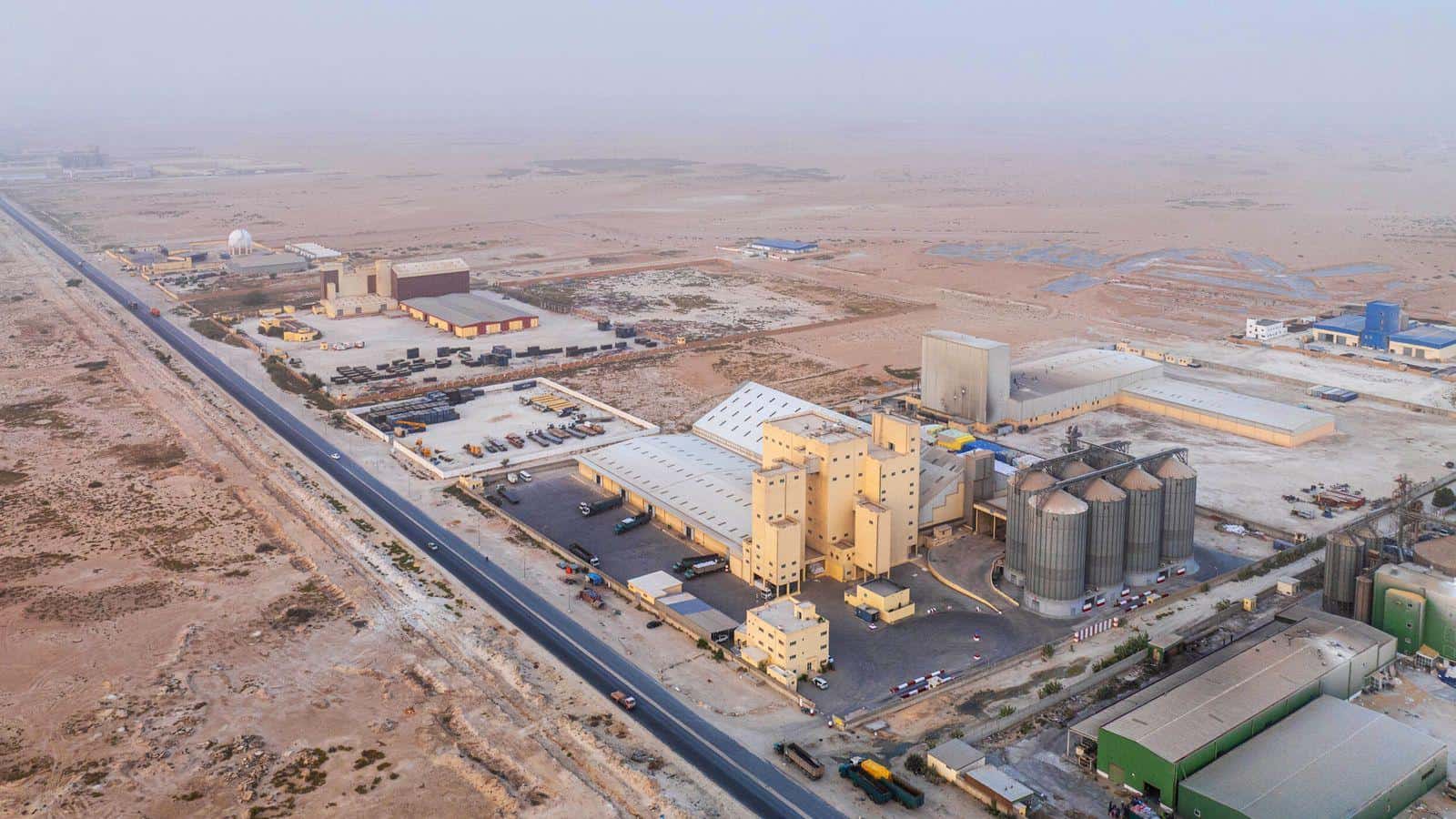 صورة المقال