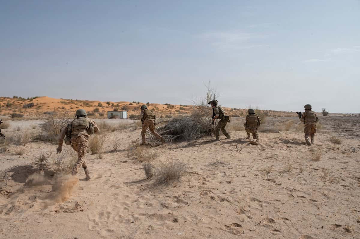 صورة المقال