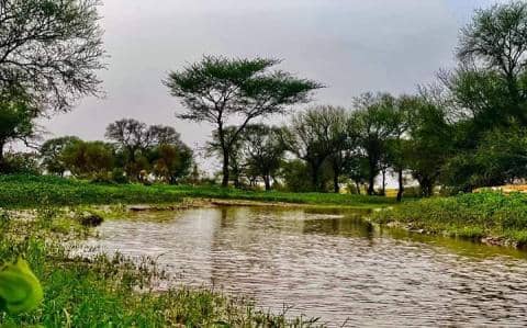 الصورة الرئيسية للمقال