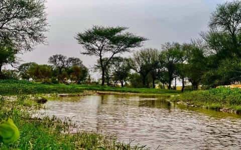 صورة المقال