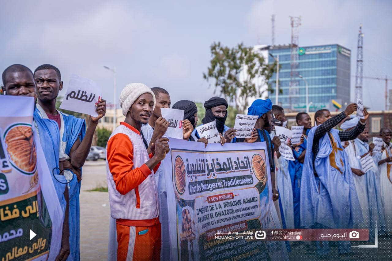 اتحادية المخابز التقليدية تطالب برفع القيود عن تسويق الخبز والتنقل به