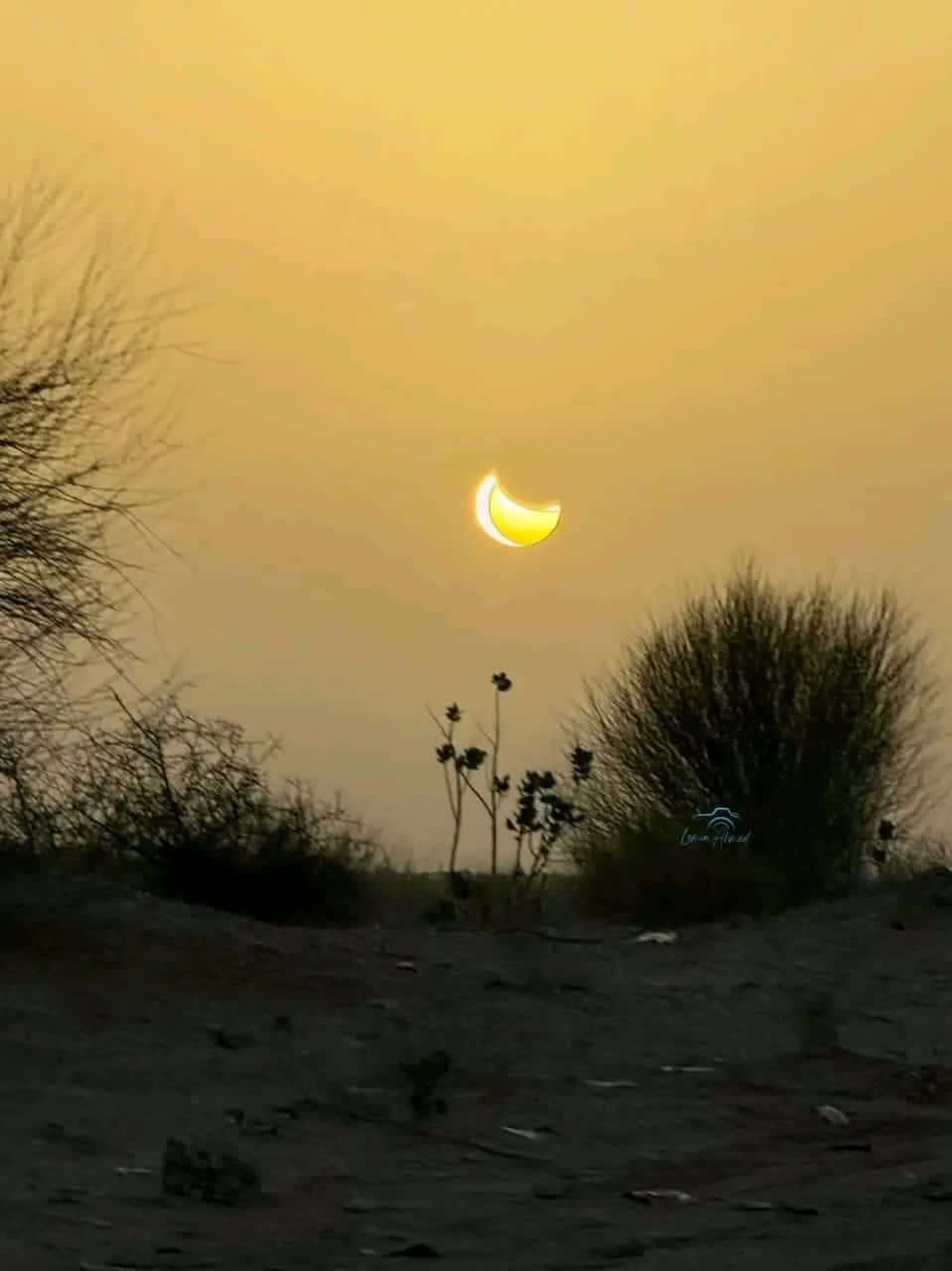 صورة المقال