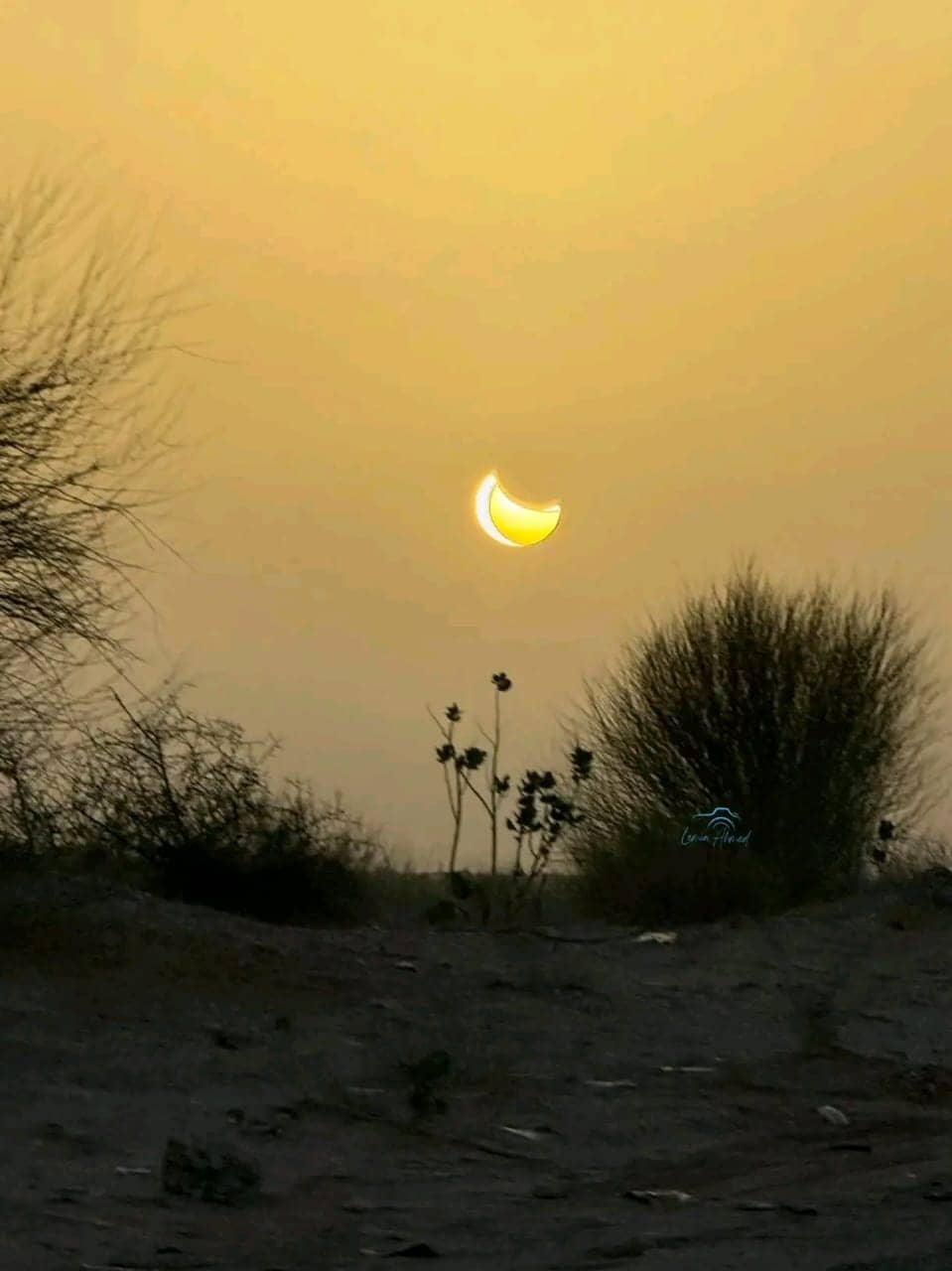 الصورة الرئيسية للمقال