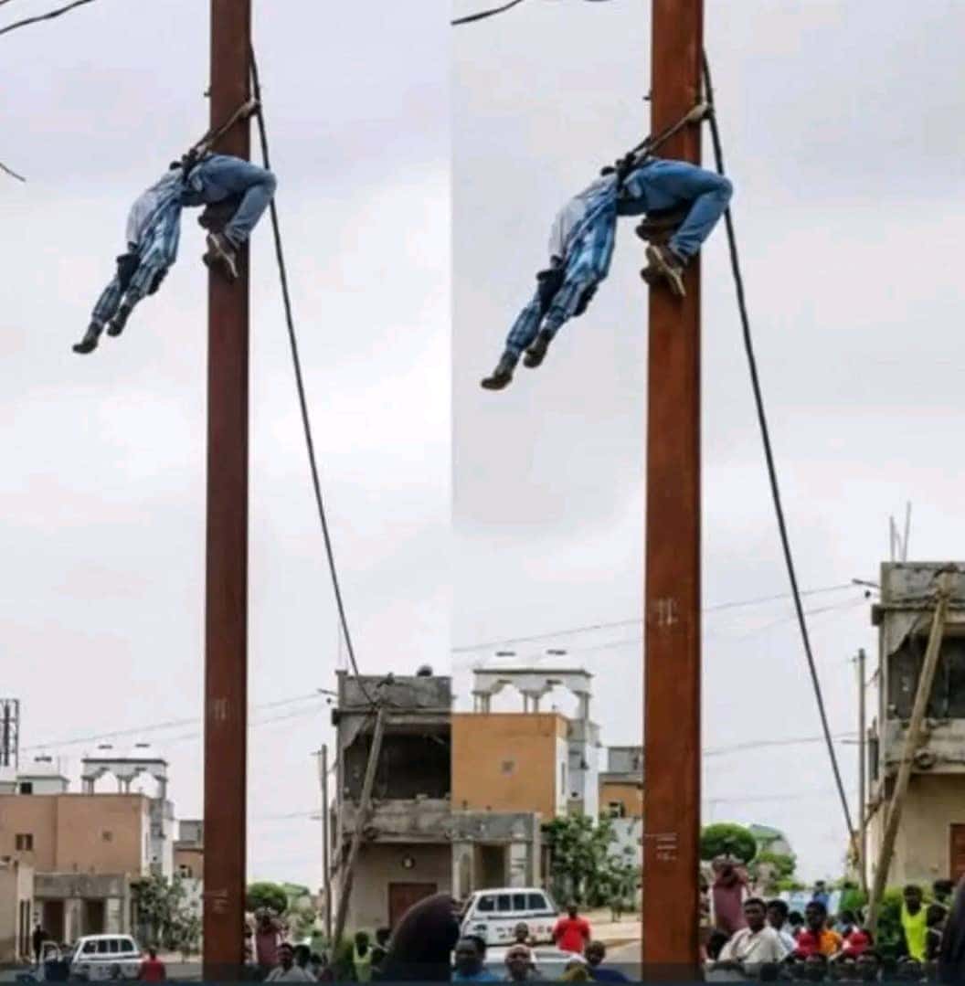 صورة المقال