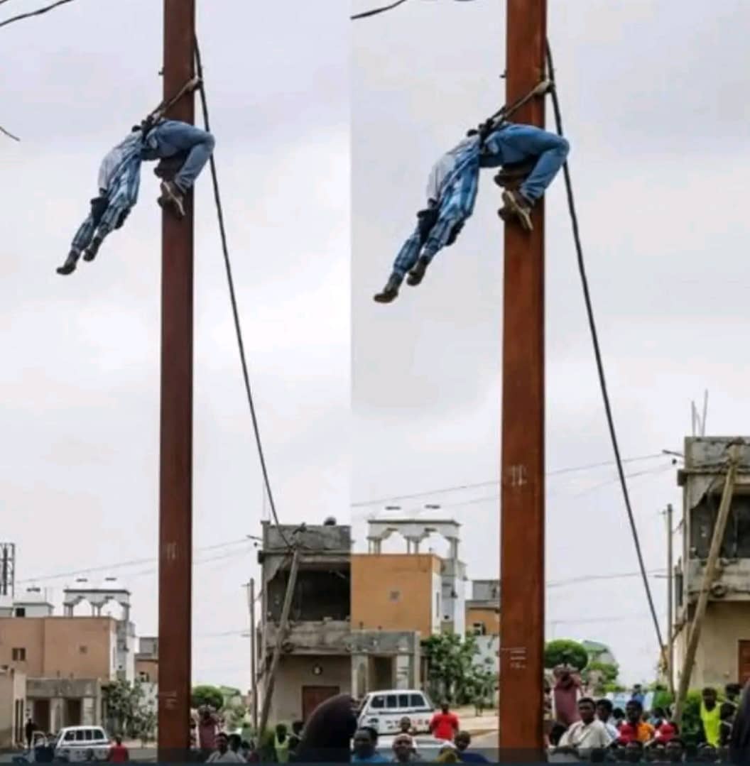 الصورة الرئيسية للمقال