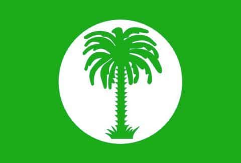 صورة المقال